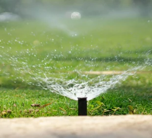 Irrigation Irrigation