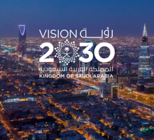 Vision 2030