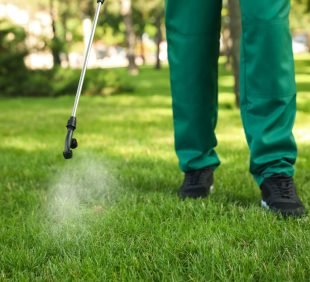 Worker spraying pesticide onto green lawn outdoors, closeup. Pes Worker spraying pesticide onto green lawn outdoors, closeup. Pest control